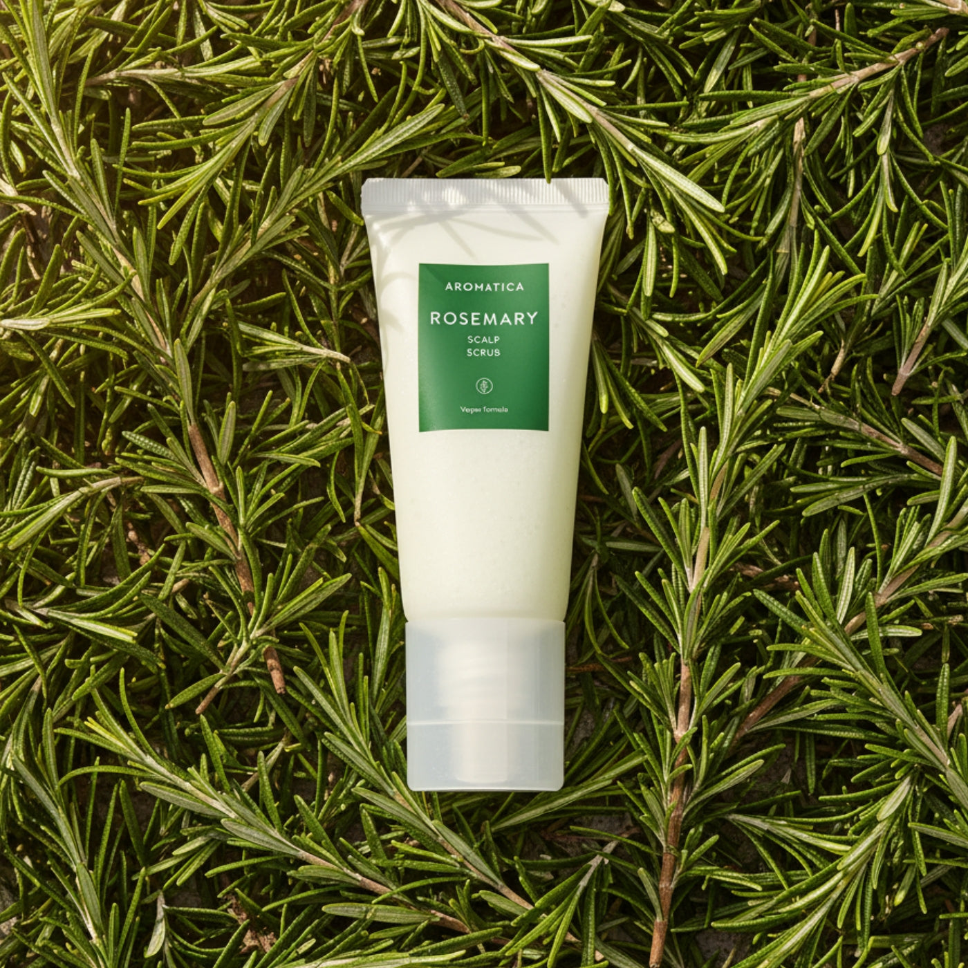 Rosemary Scalp Scrub